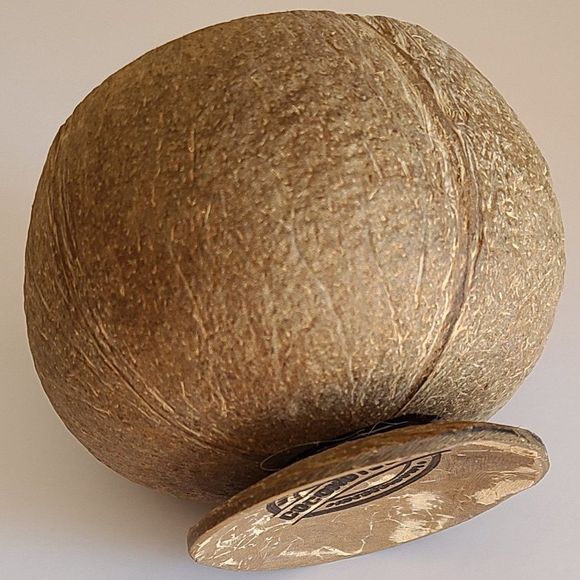 Coconut cup. coconut shell cup, wine cup, natural handmade - Picture 8 of 8